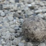 גלה כיצד פעולה לפי לוח הזמנים לתרמוסטט הורידה את החשבונות שלי בחצי. טיפים לחיסכון בחשמל ונוחות מרבית בבית.