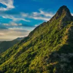 גלה מדוע האוניברסיטאות מצנזרות דעות לא פופולריות וכיצד זה משפיע על חופש הביטוי במוסדות האקדמיים.