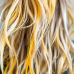 צבעתי את השיער שלי 12 פעמים במהלך חודש אחד ולמדתי על ההשפעה שהייתה לכך על בריאות השיער והמרקם שלו. גלו את הסיפור האמיתי והטיפים שלי לשמירה על שיער צבוע.