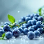 הגן חושף את הסיבה למה כרובית, ברוקולי וכרוב כולם מגיעים מאותו צמח, ומסביר את הקשר הייחודי ביניהם.