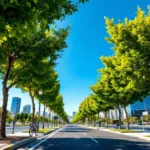 במאמר זה נבדקת הטענה שהתקשורת מגזימה ומשדרת משבר אקלים למרות היעדר סערות ושלגים חריגים, ומציגים ביקורת על ייצוג התופעה.