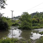 טיפ פשוט ויעיל לניקוי והברקת פרקט ללא צורך בשעווה או פוליש, להשגת מראה מושלם וברק טבעי בביתכם.