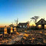 גלה מי הוא הקורבן האמיתי בסיפור הכוורן המפונה והגמלאי שנפגע ממיסים חקלאיים – ניתוח מעמיק של ההשפעות הכלכליות והחברתיות.