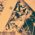 מומחה תזונה טוען שארוחת הבוקר עלולה לגרום לעלייה במשקל יותר מדייסה ומוזלי. גלו את הסיבה והפתרונות הבריאים לארוחת בוקר נכונה.